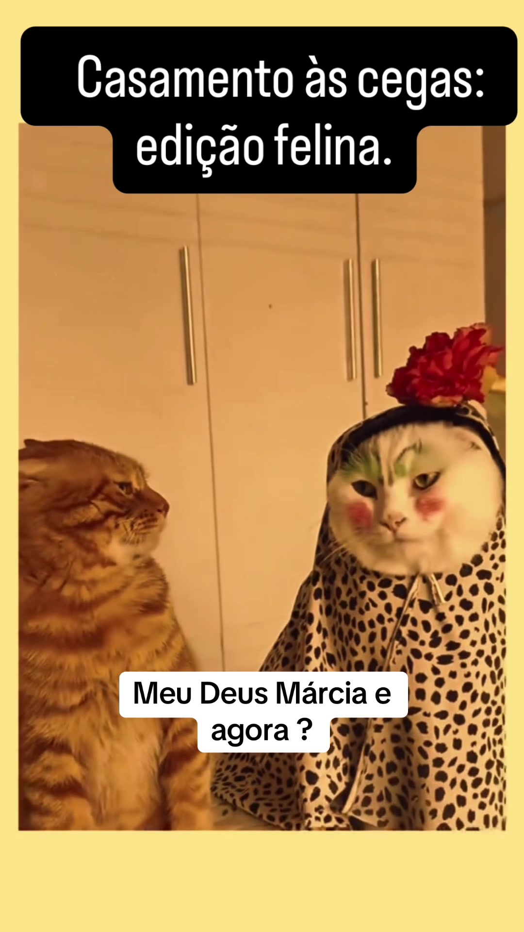 @Lusitonio Machado Do