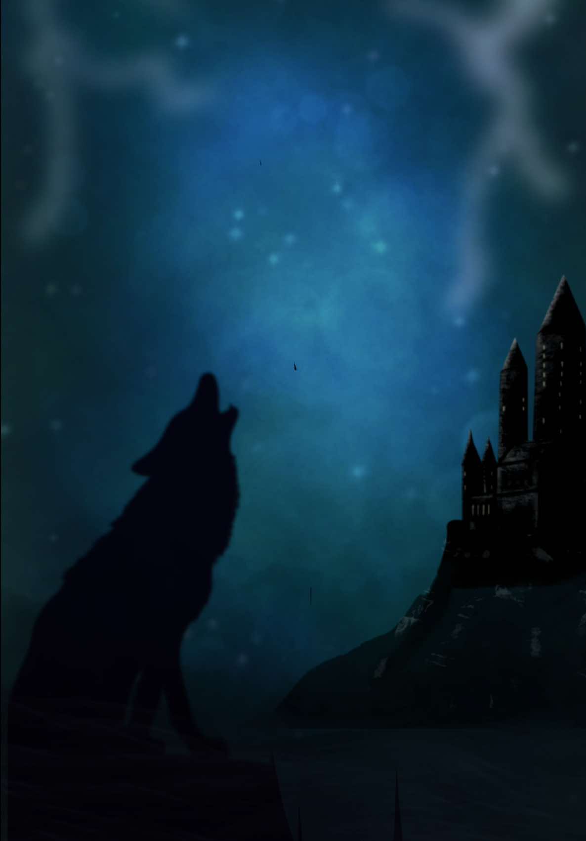 @Cassidy Grimm | Fantasy Author