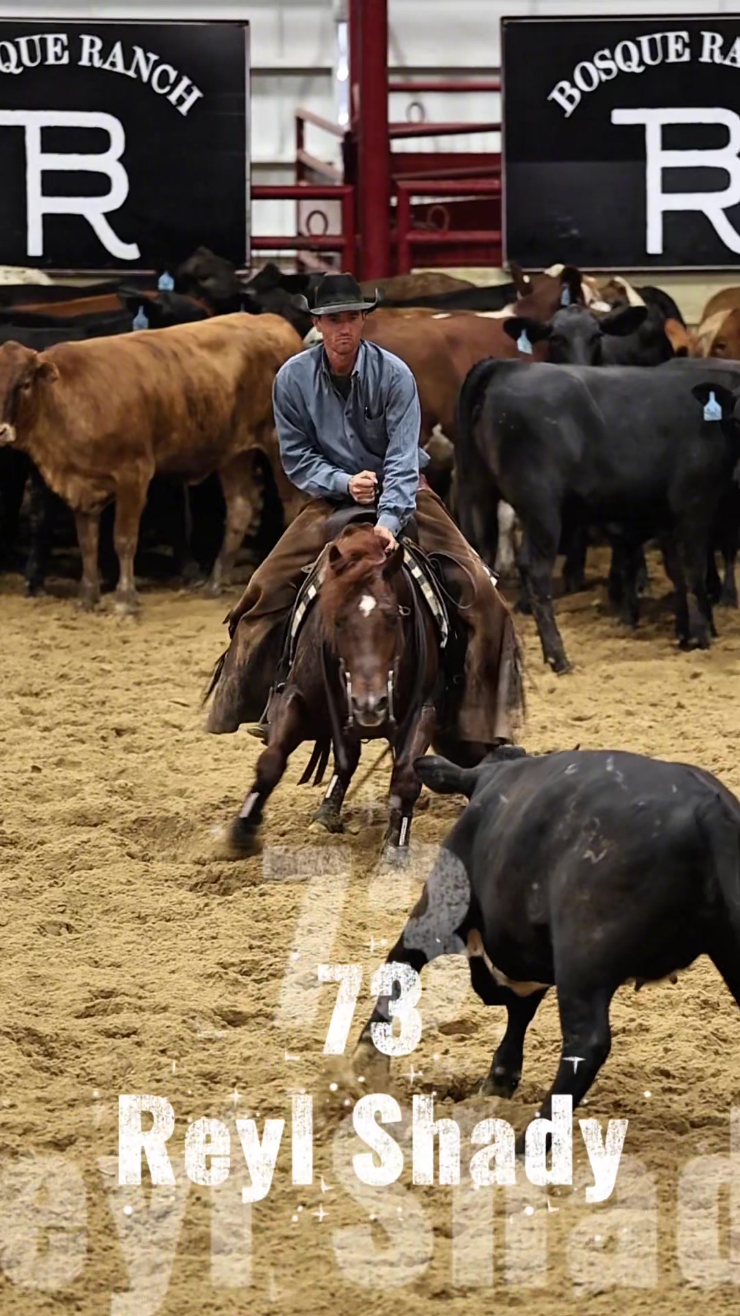 @rtabogacuttinghorses