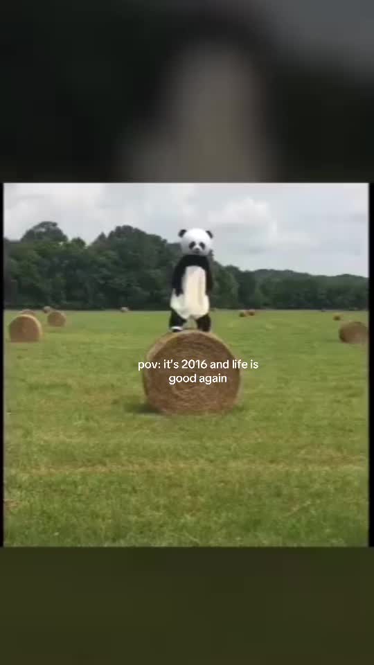 @Panderz_
