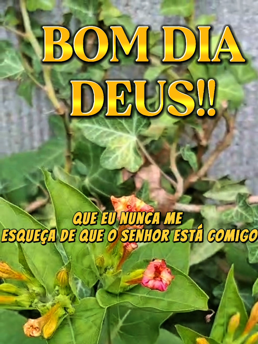 @PromessadeDeus91