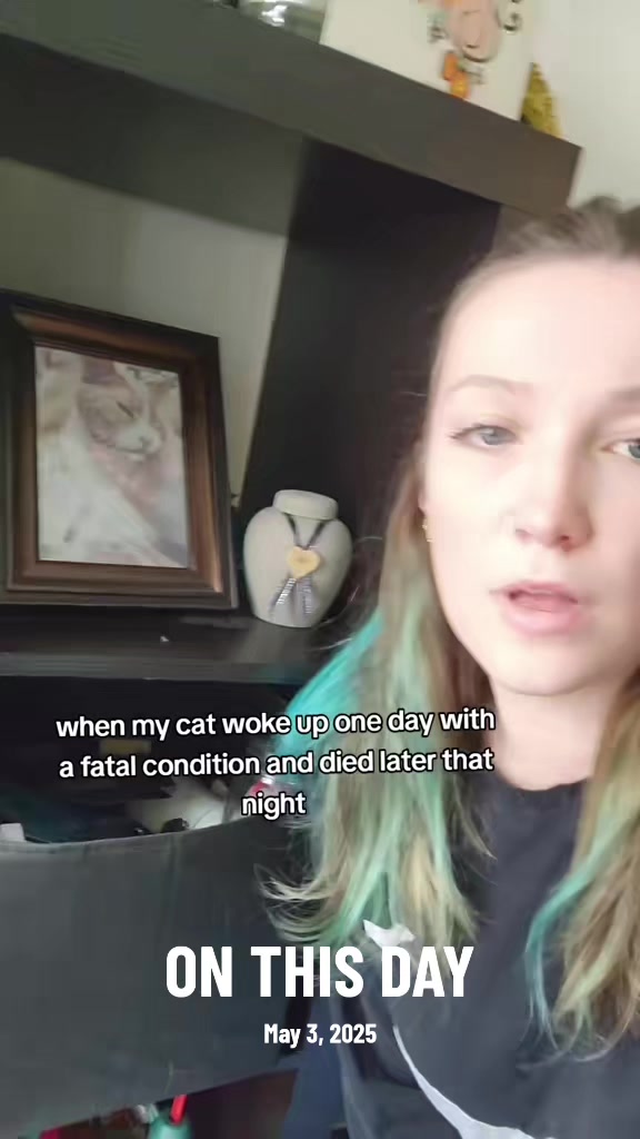 @Amanda🇨🇦