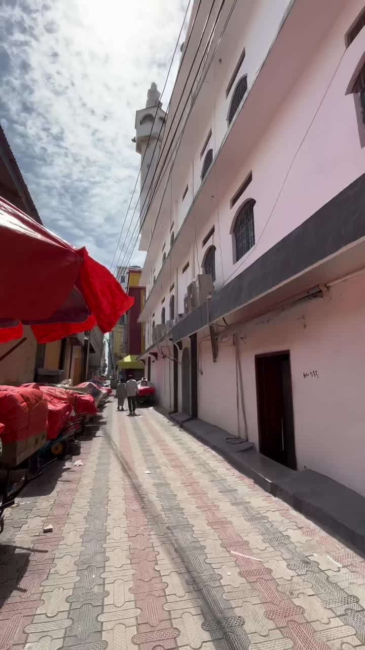 @mc.xalane🇸🇴