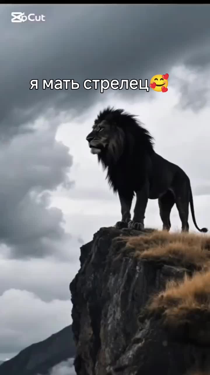 @Tatjana