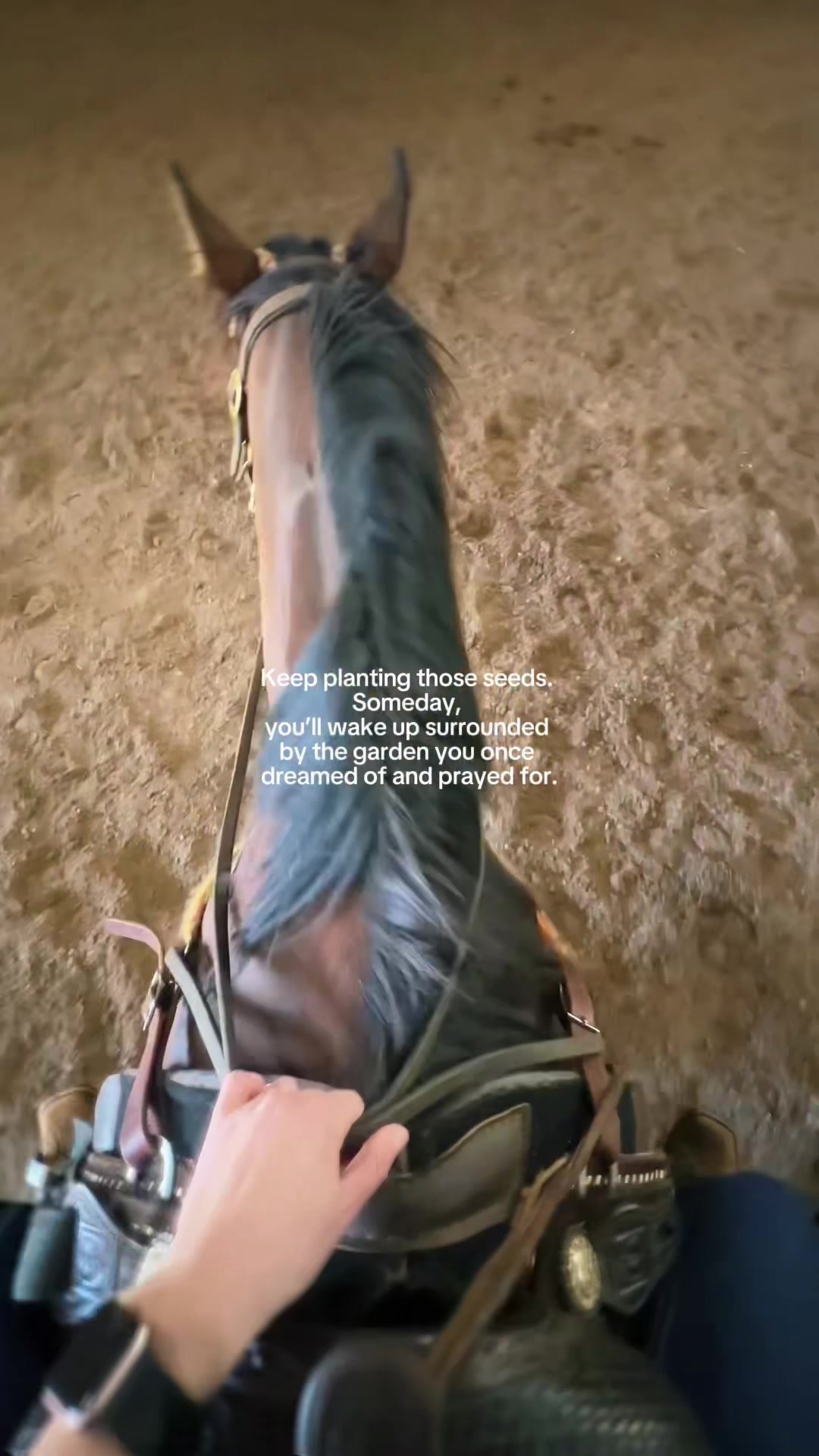 @SAMANTHA | BARREL RACING