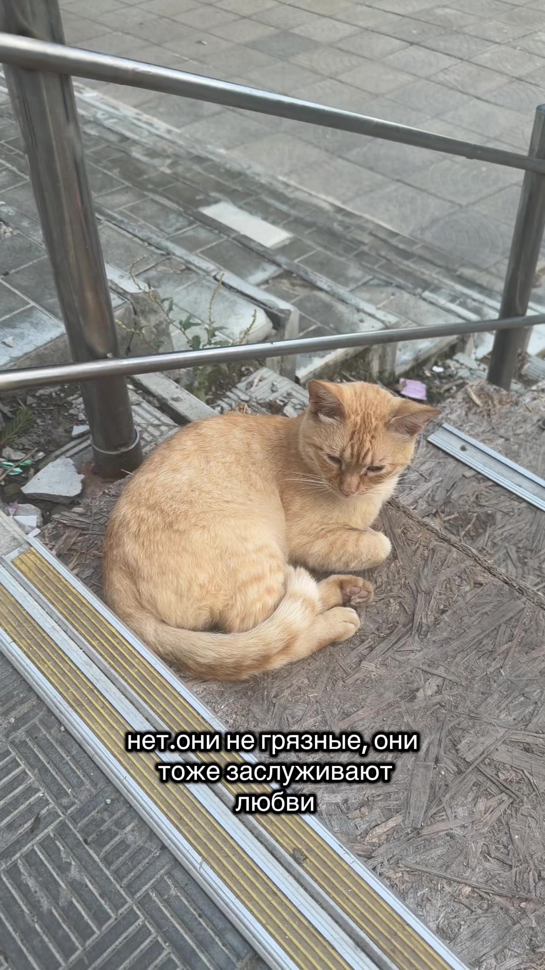 @ТГ: НАГОРНАЯ💗