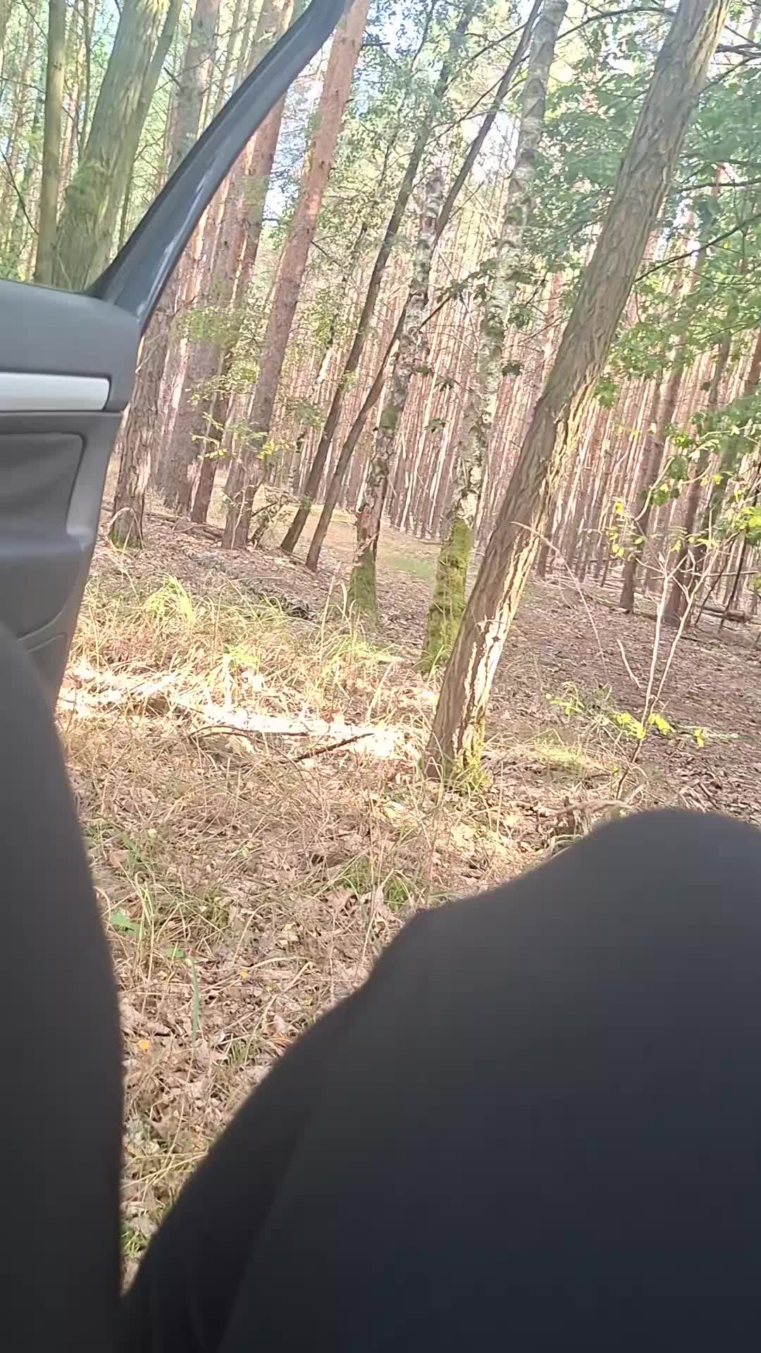 @ChantiGHG🐄🥭🦖🦕