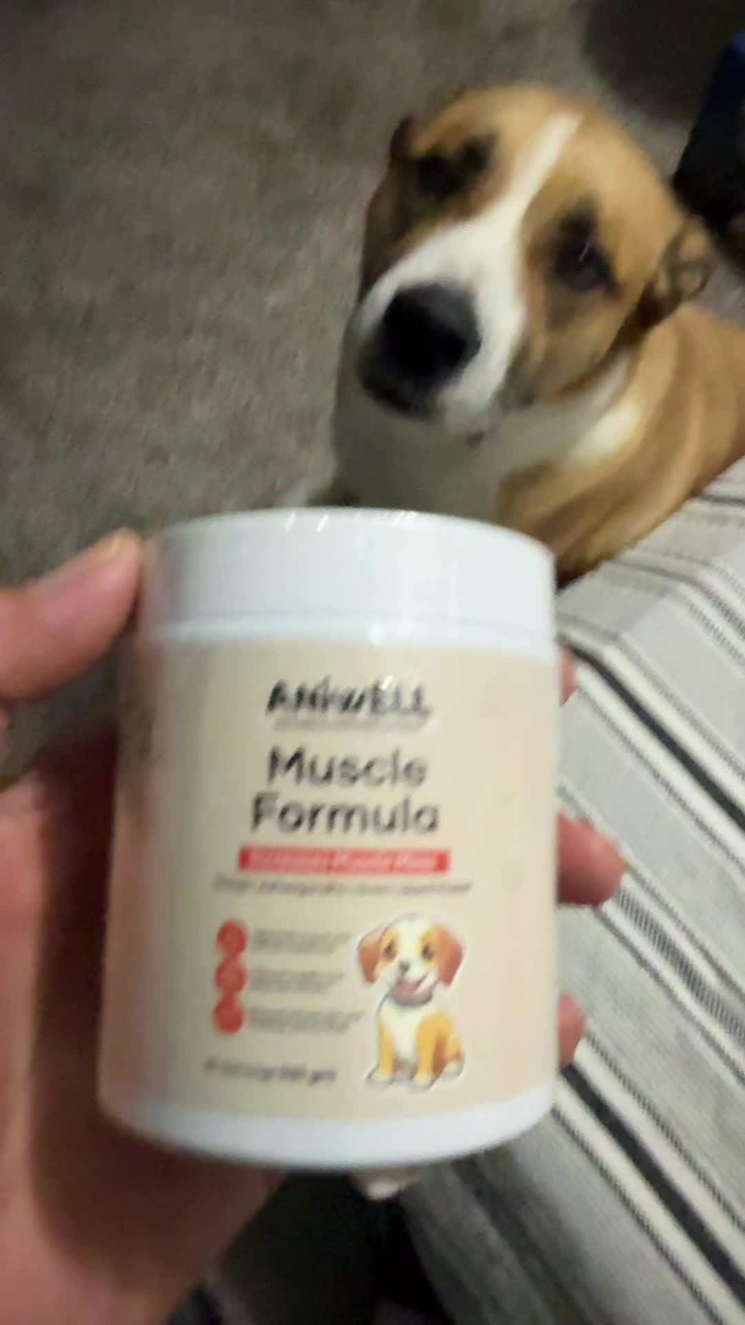 @doggface208