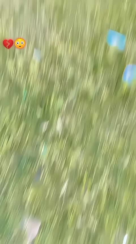 @🇧🇧ℂℍ𝕆𝕋𝔸 ℙ𝔸𝕋𝔸ℕ ♞𝟓𝟓𝟏
