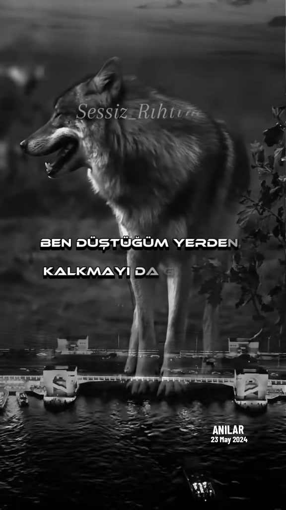 @😎🖤𝔸𝕊𝕚ℝ𝕌ℍ𝕌𝕄🖤😎