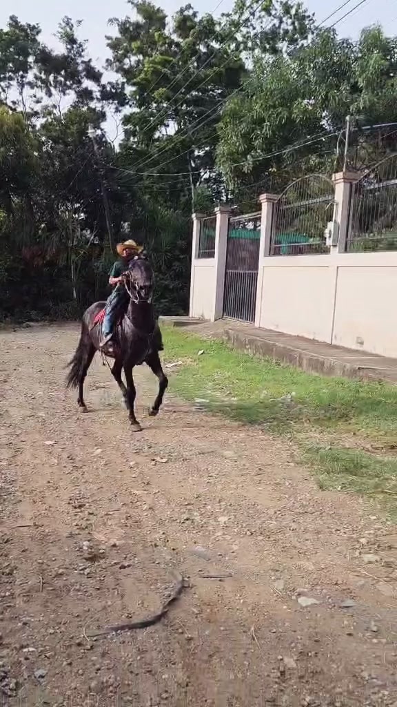 @Moises Vasquéz