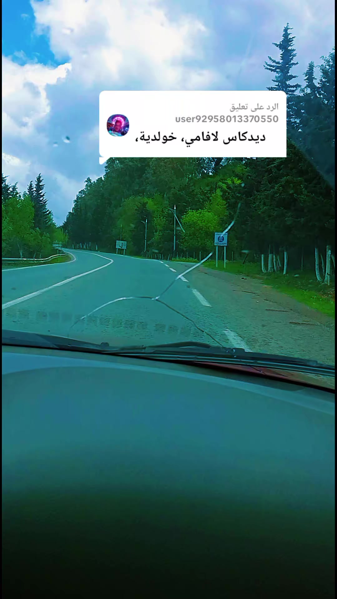 @نوارة 41