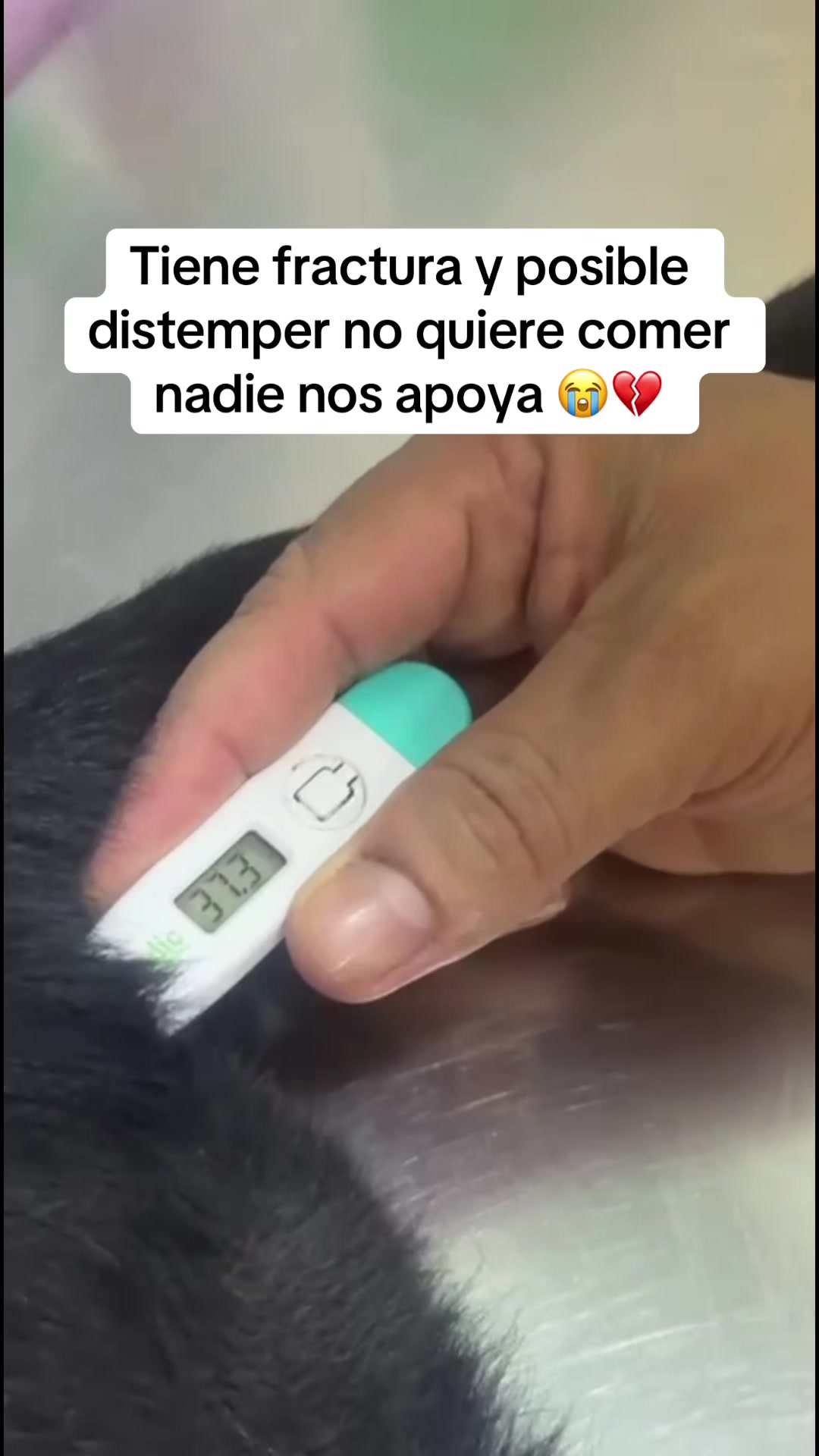 @GERSON EL&Iacute;AS