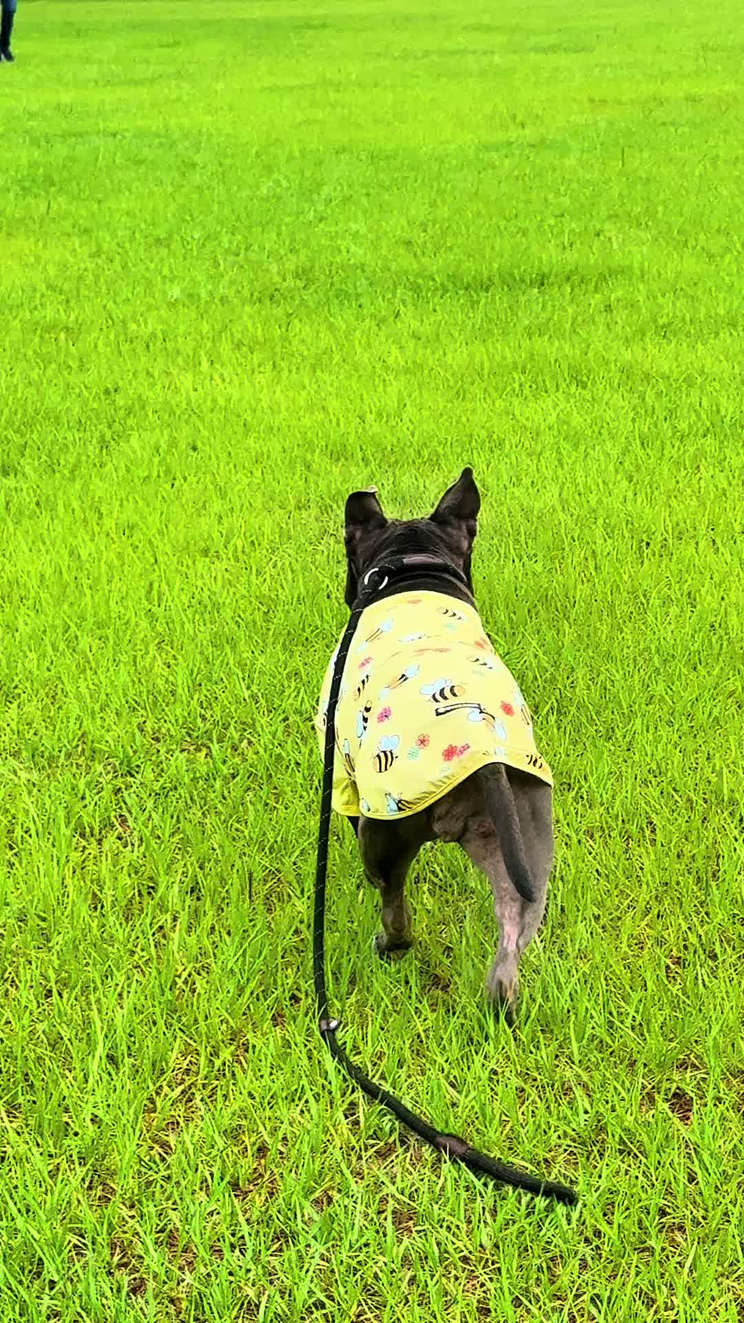 @Bark&rsquo;n & Park&rsquo;n