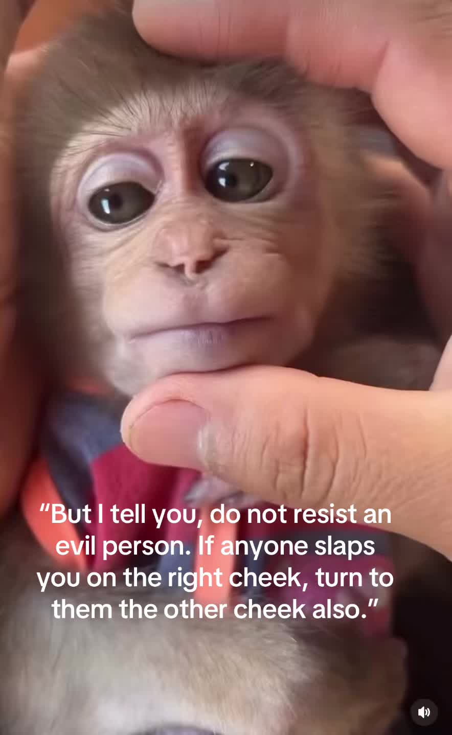 @Itsreal