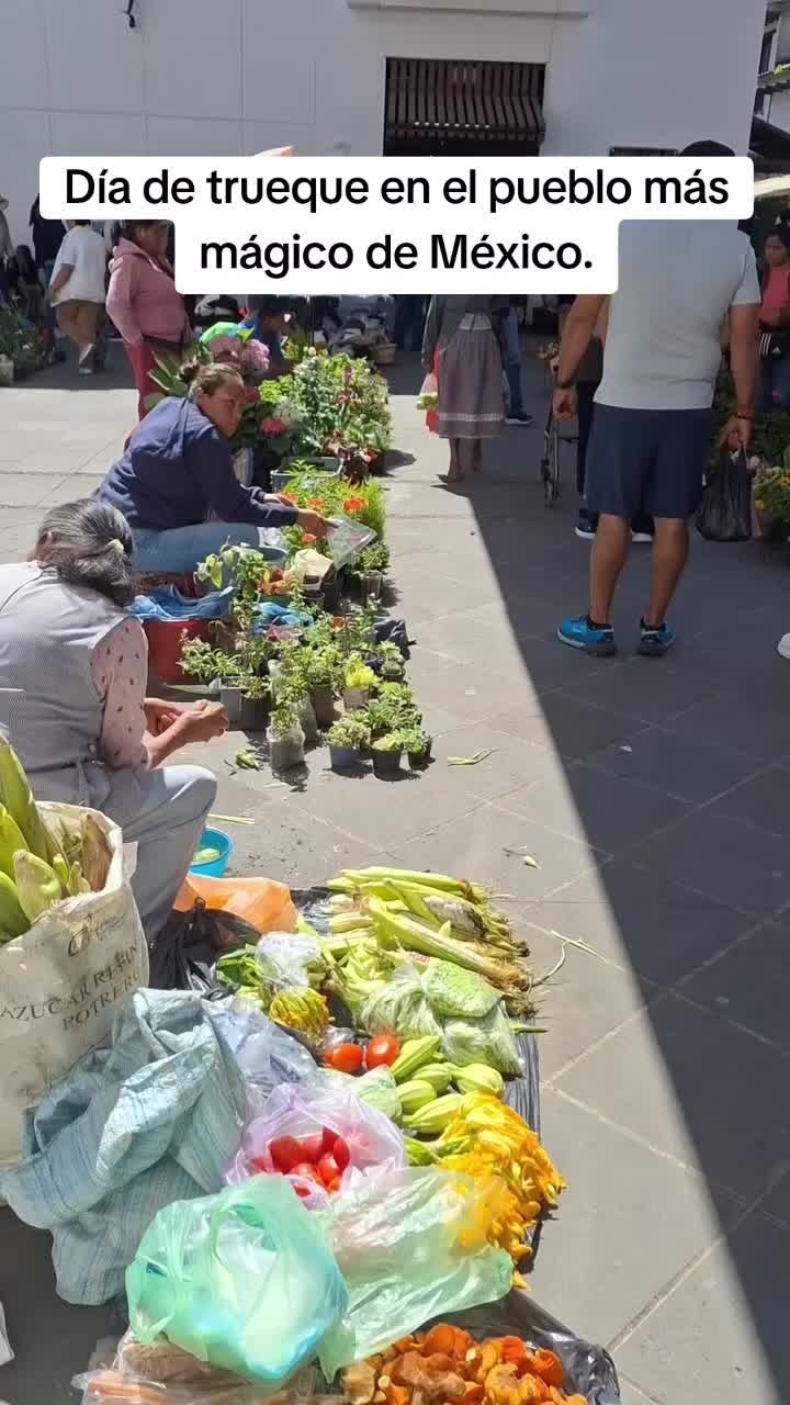 @Michoac&aacute;n