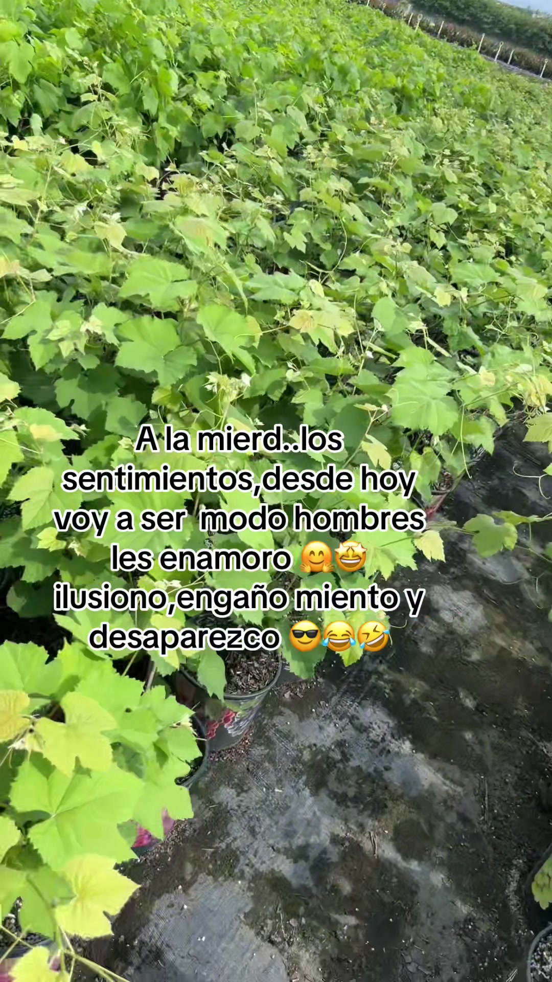 @MARI❤️😘😍