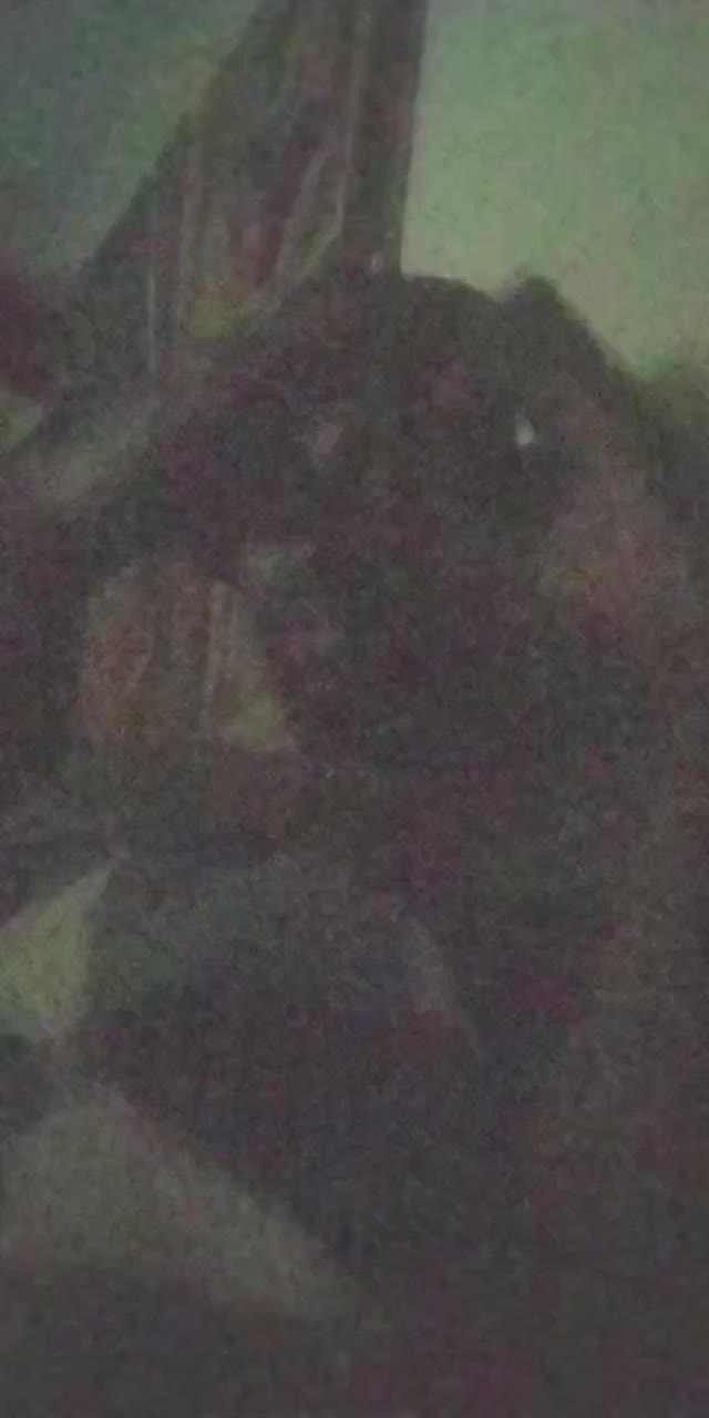 @Duh Ovaseer