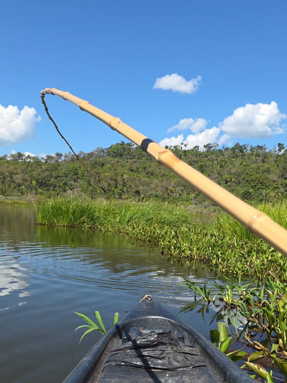 @De Rondônia Para O Mundo
