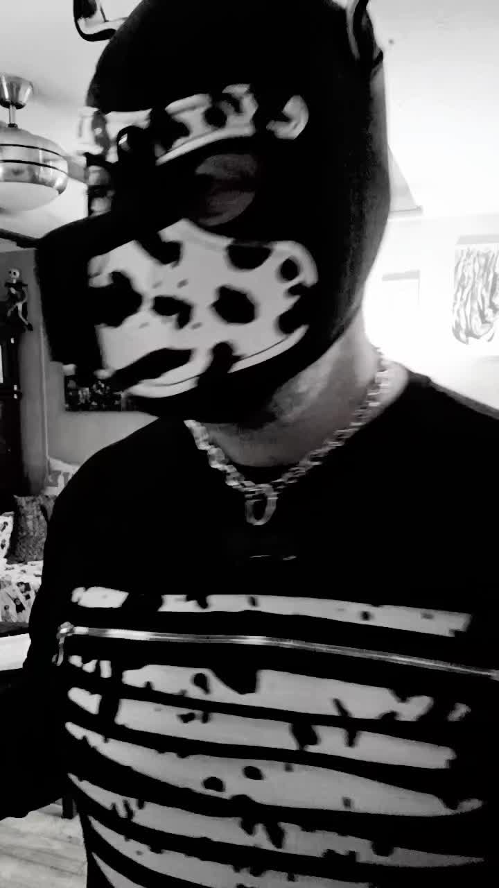 @pupgeuse3