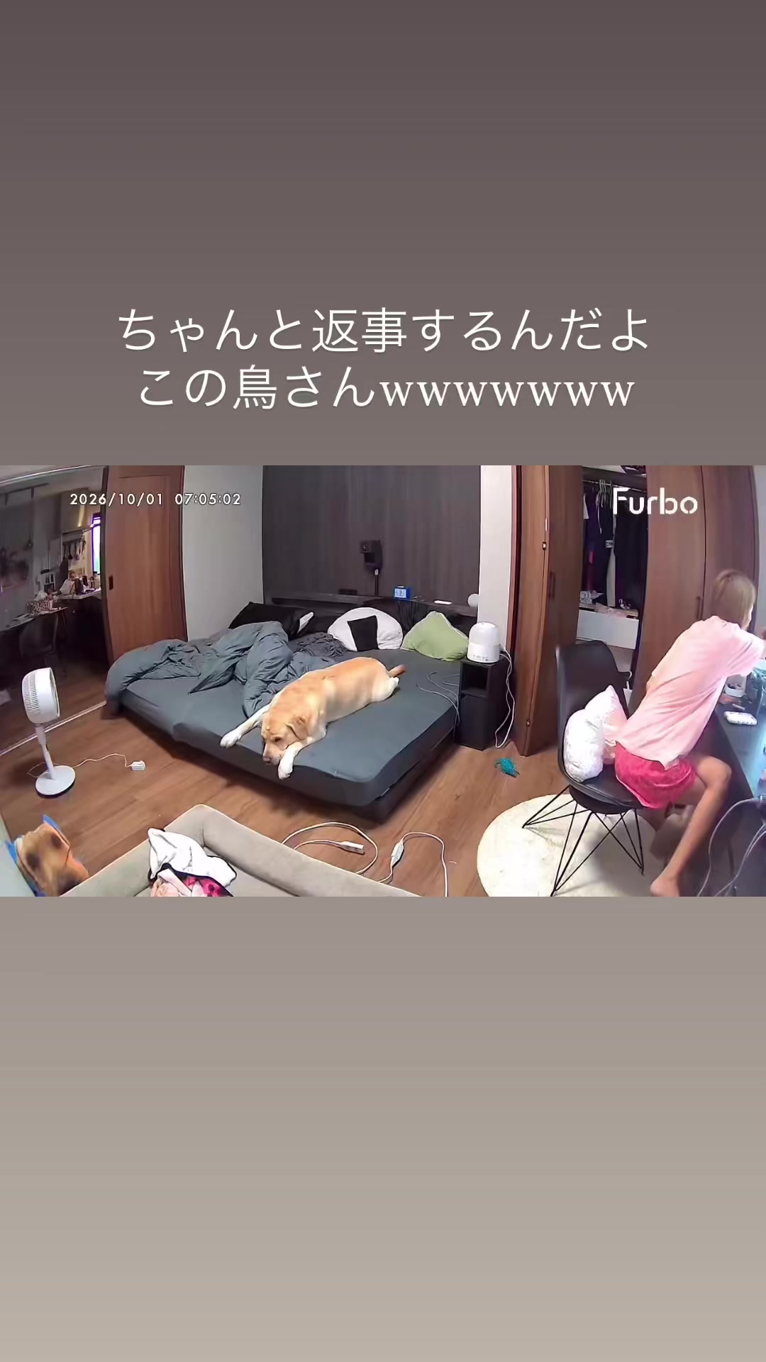@ゆなたん