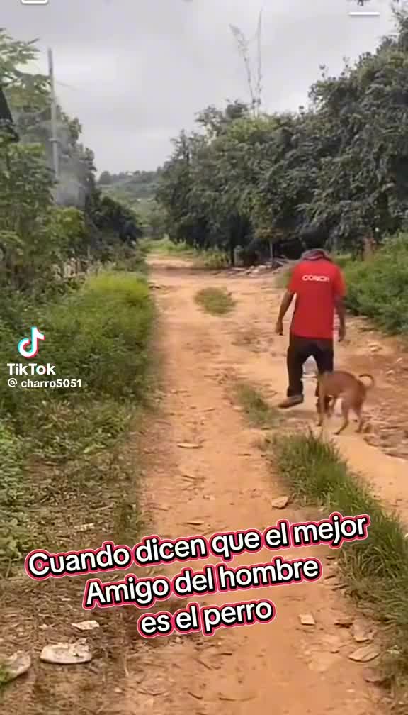 @Silvia Herrera
