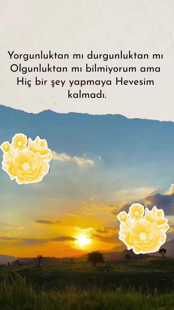 @Talip Ezman