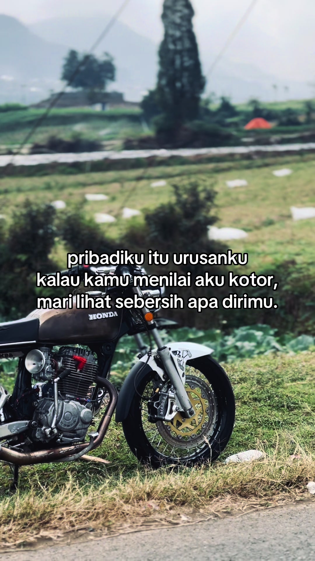 @Dewo