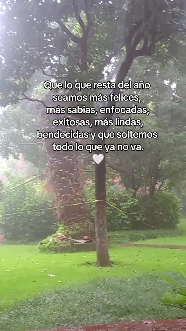 @paubonii