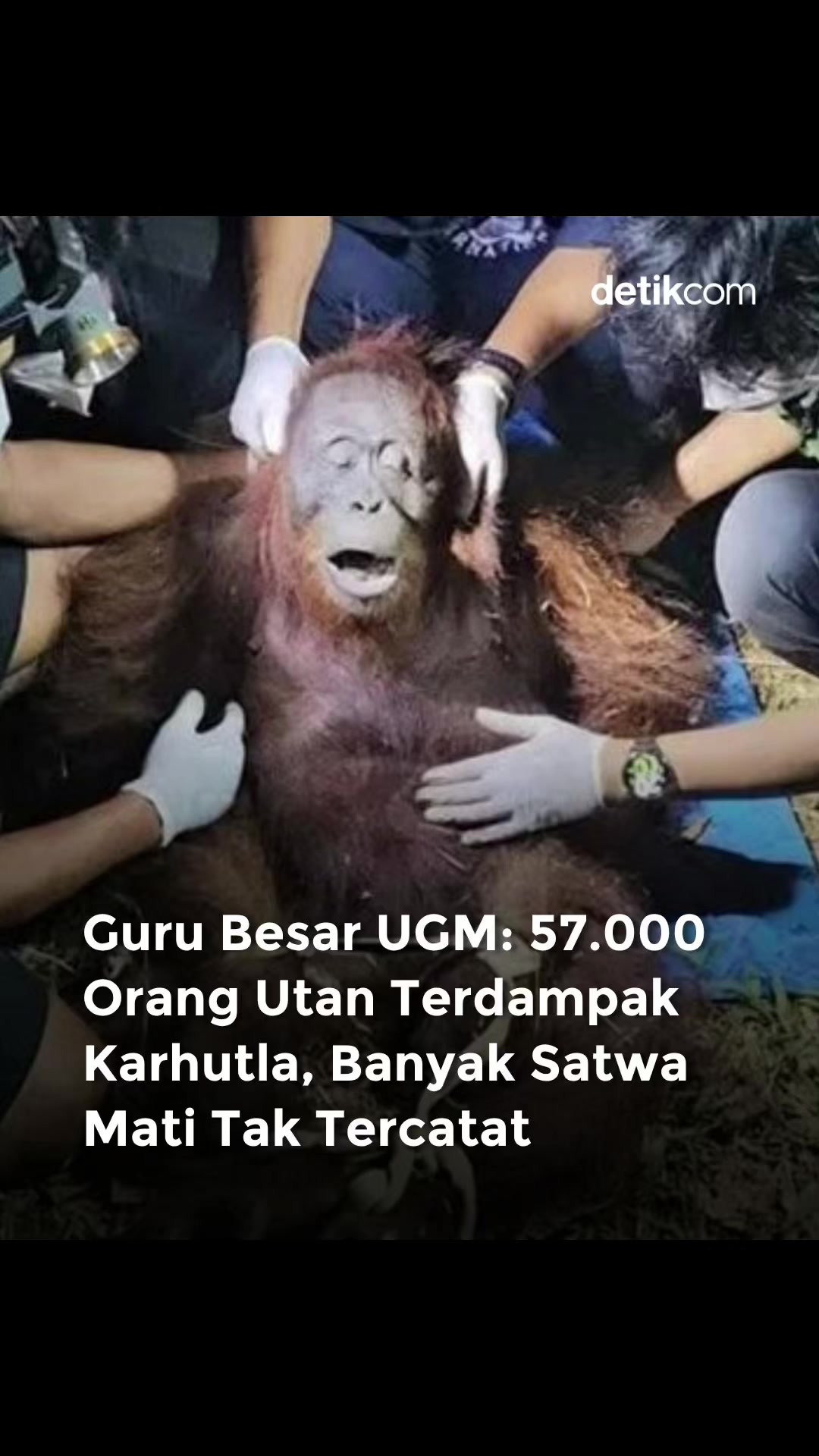 @detik.com