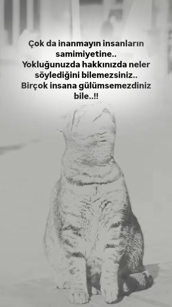 @𝐒𝐞𝐬𝐬𝐢𝐳꯭ ꯭⅟𝐘𝐚𝐳𝐚𝐫