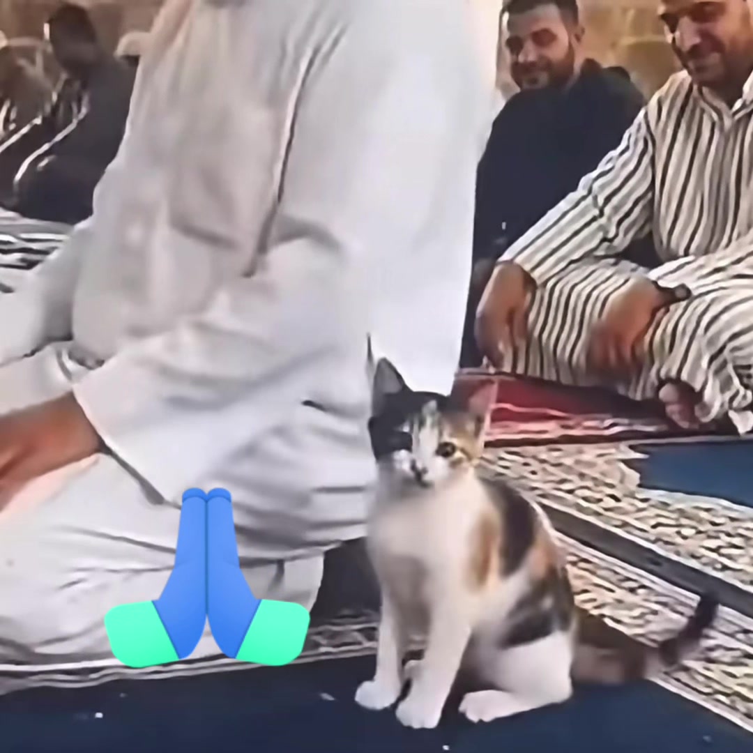 @zagi7777777