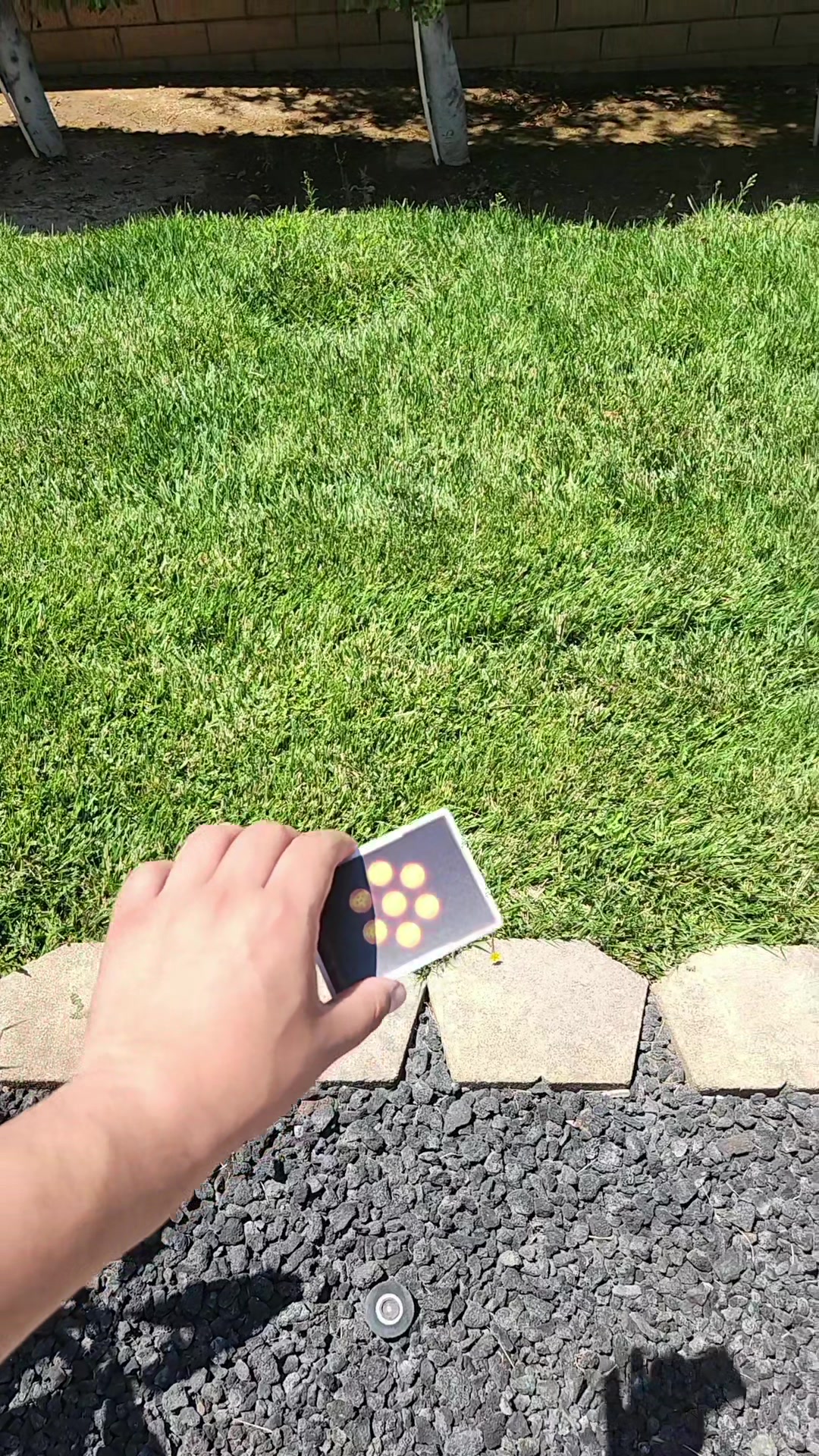 @Thecaliforniacardhog_tcg