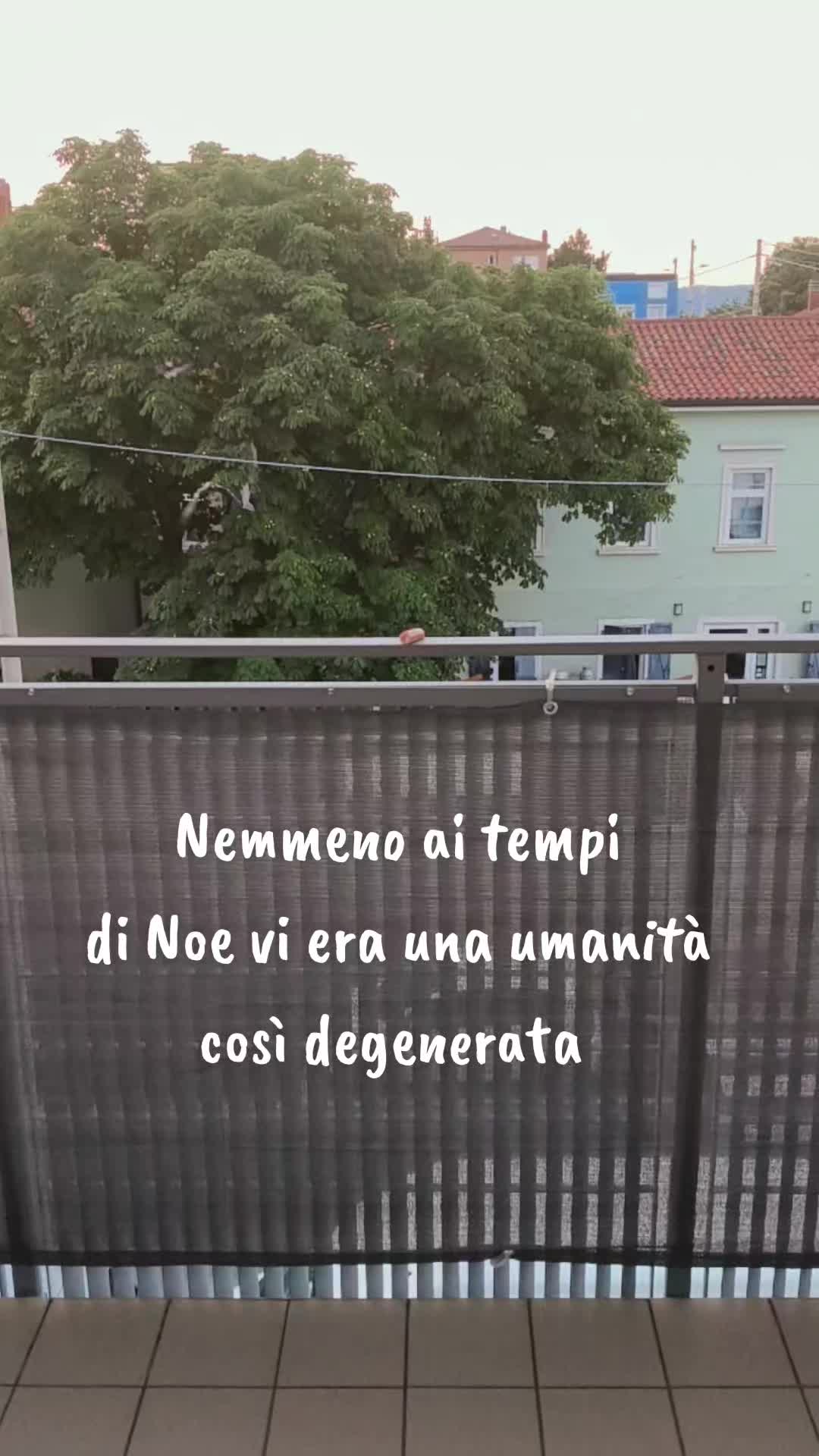 @Pergliamici Ciccio