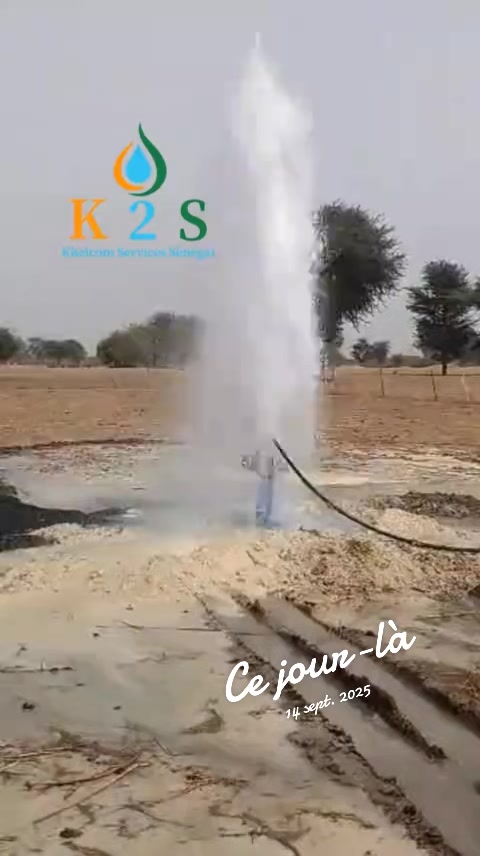 @Salikh 💧🇸🇳