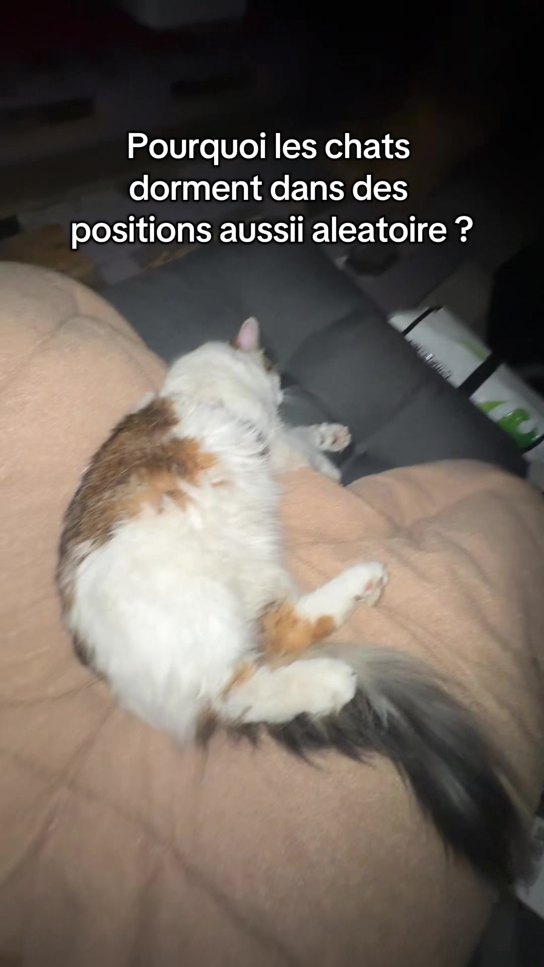 @Berollox