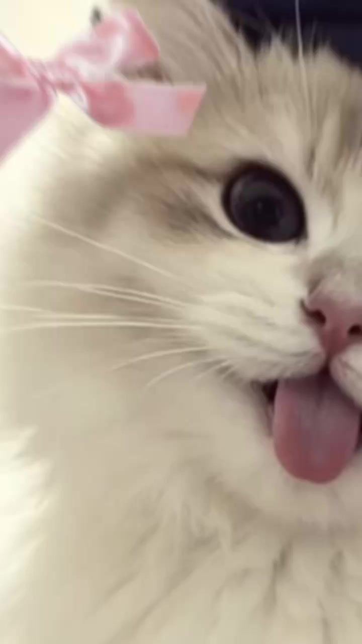 @๐โจ๐๐๐๐๐ซ