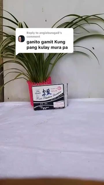 @Evelyn Cornetes