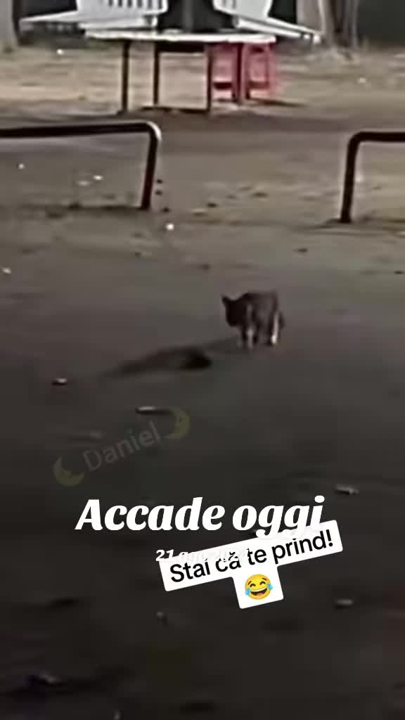 @🌜Daniel🌛
