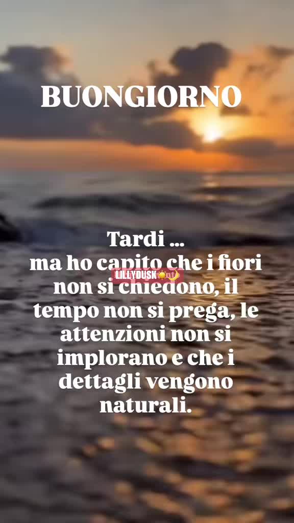 @@lillydusk☀️🌙