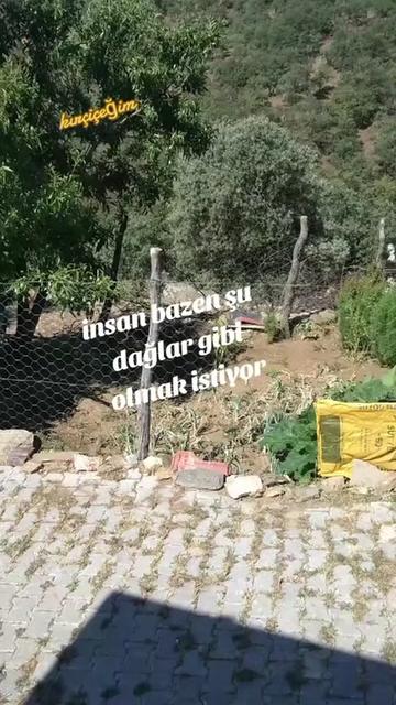 @Ayşe demir