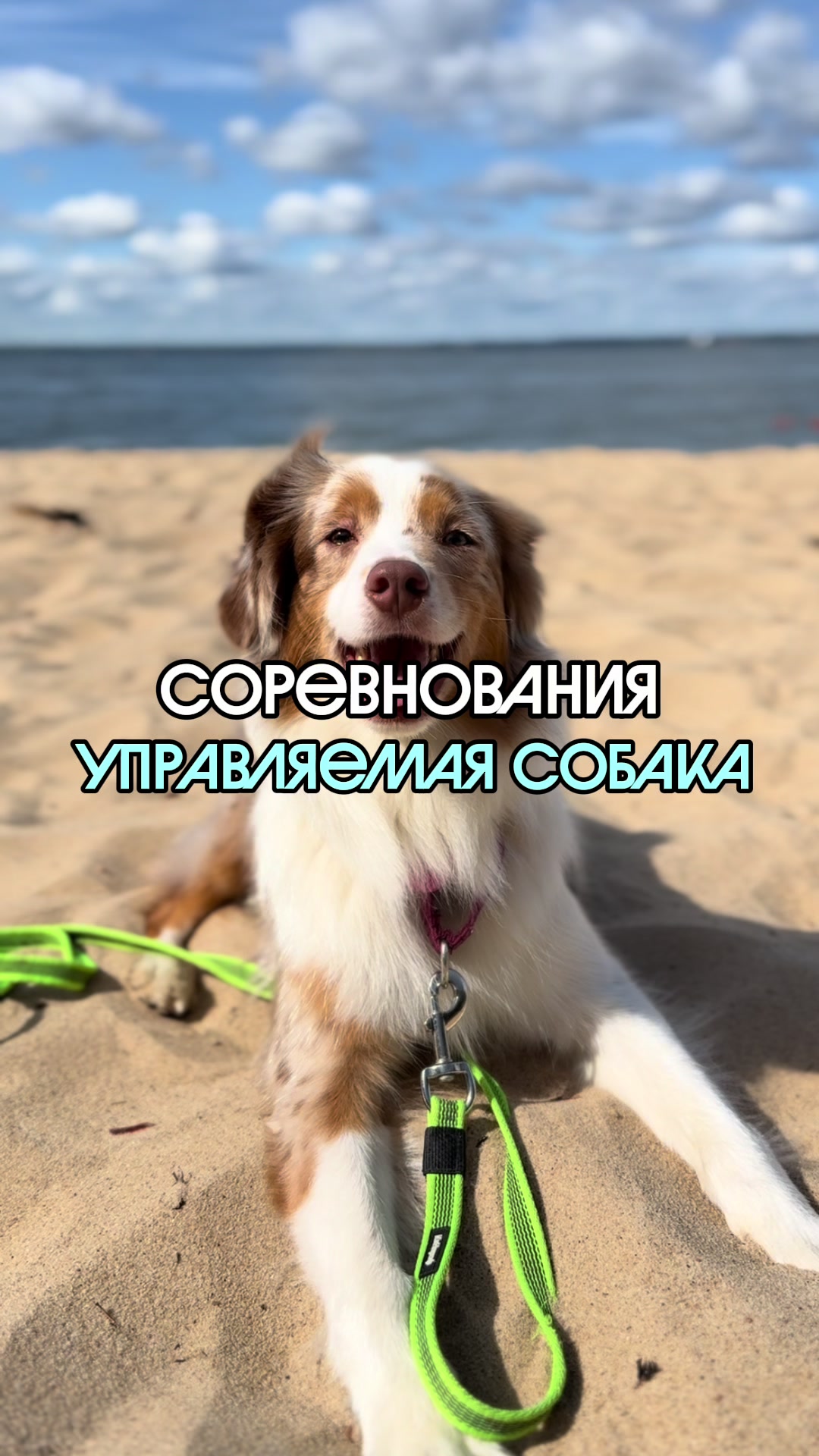 @𝚃𝚠𝚒𝚡