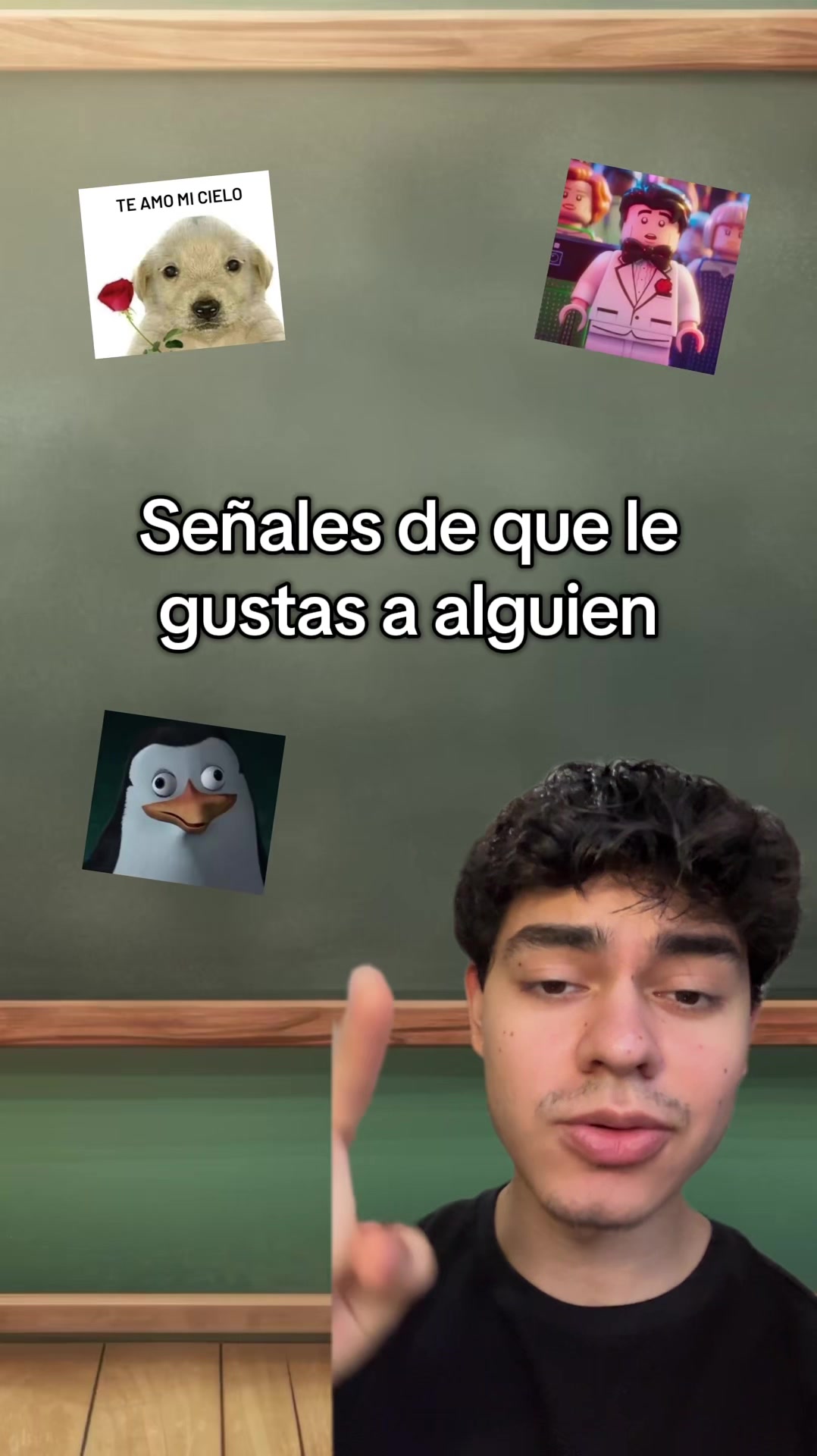 @javigainzz