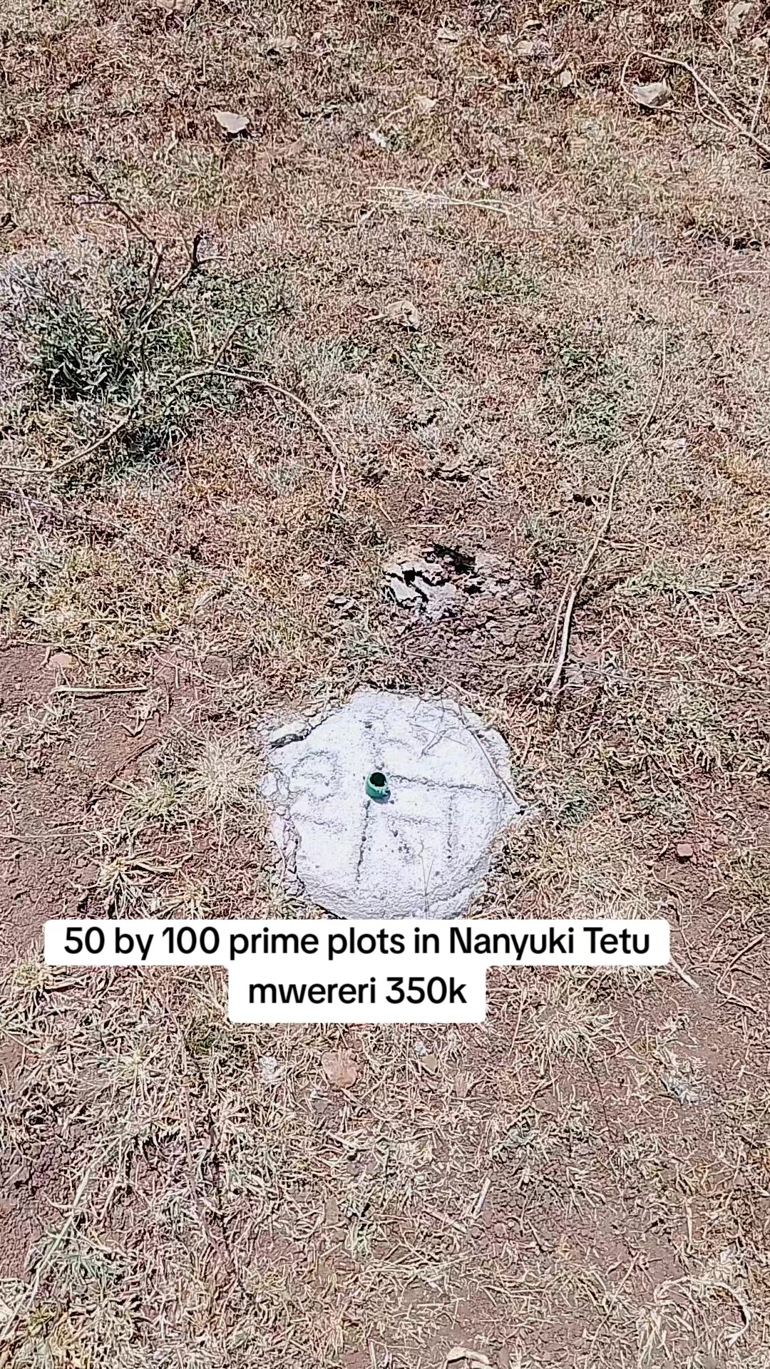 @Tish Pure land 0722106832
