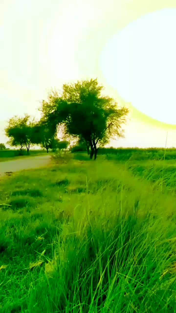 @jamalinasir15