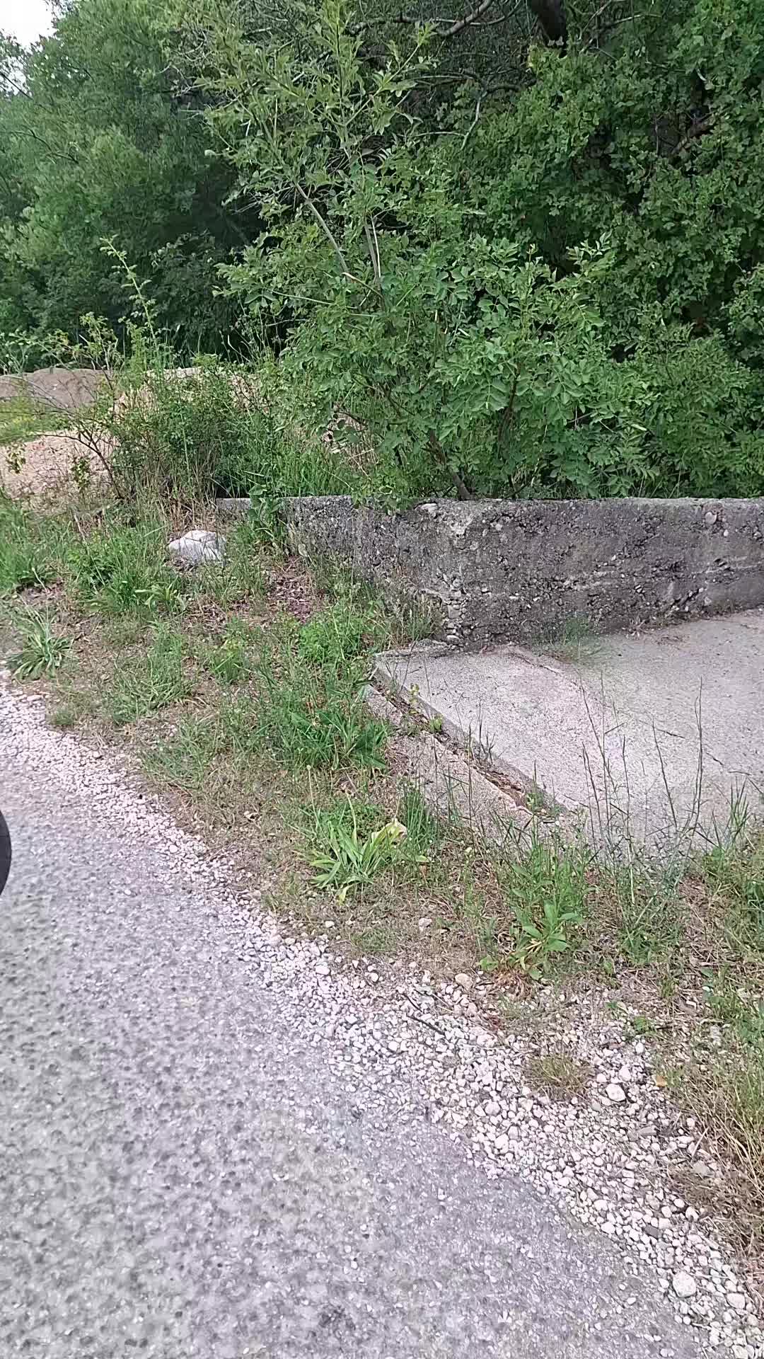 @borko🥁🏍