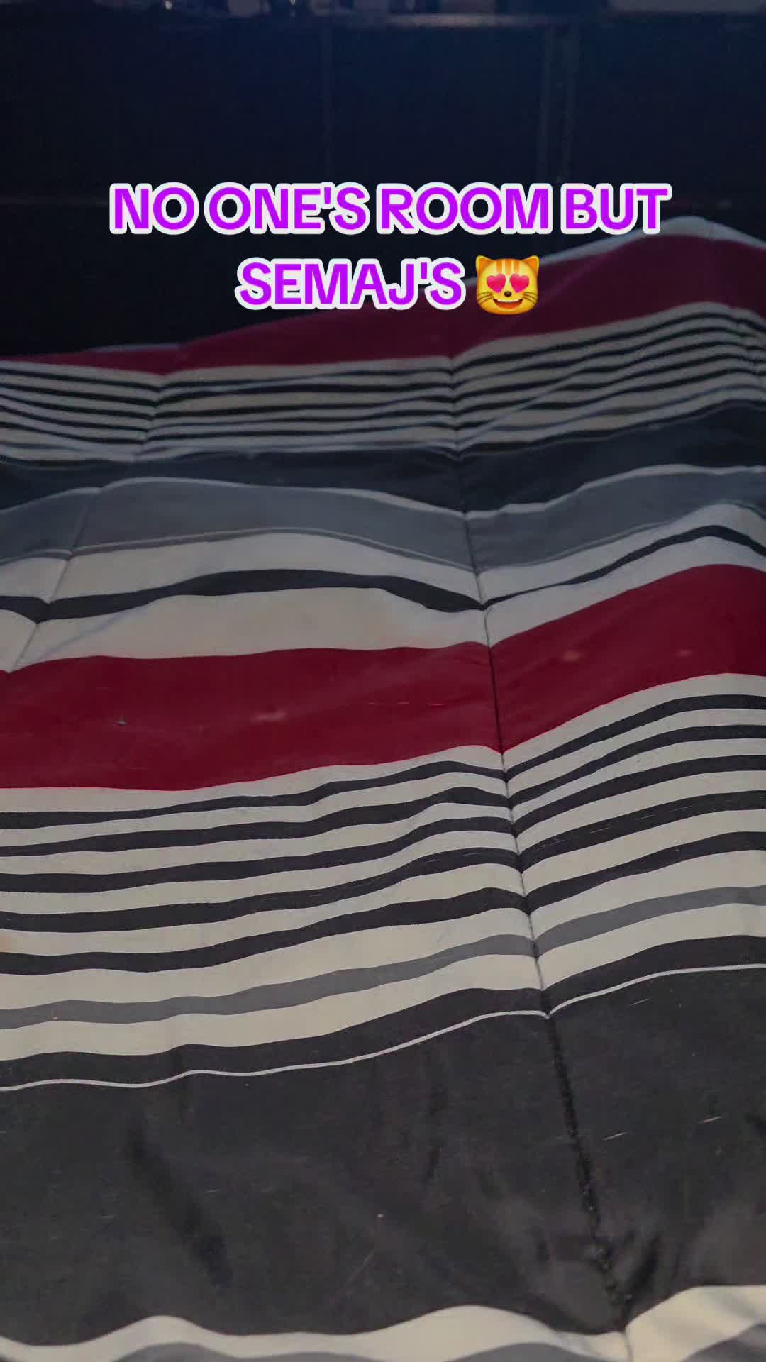 @Mr_Marèo_Newell_76