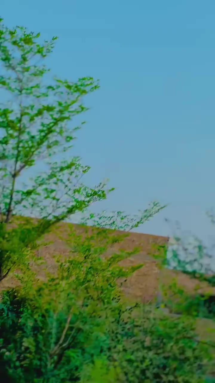 @محبتی لوگ 🥷
