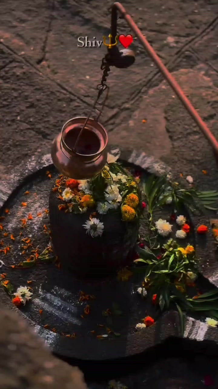 @✨❤️MAHADEV ka deewana 📿🙇🏻