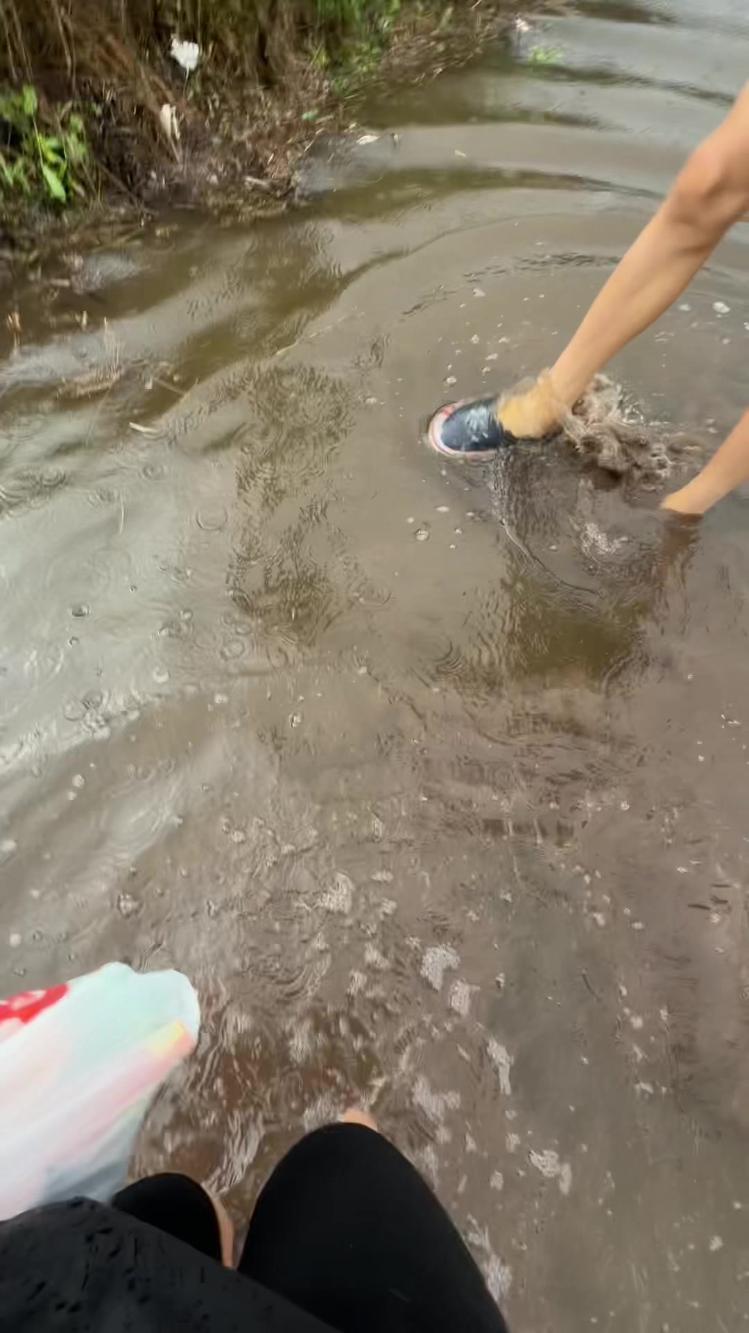 @^^дашуля^^